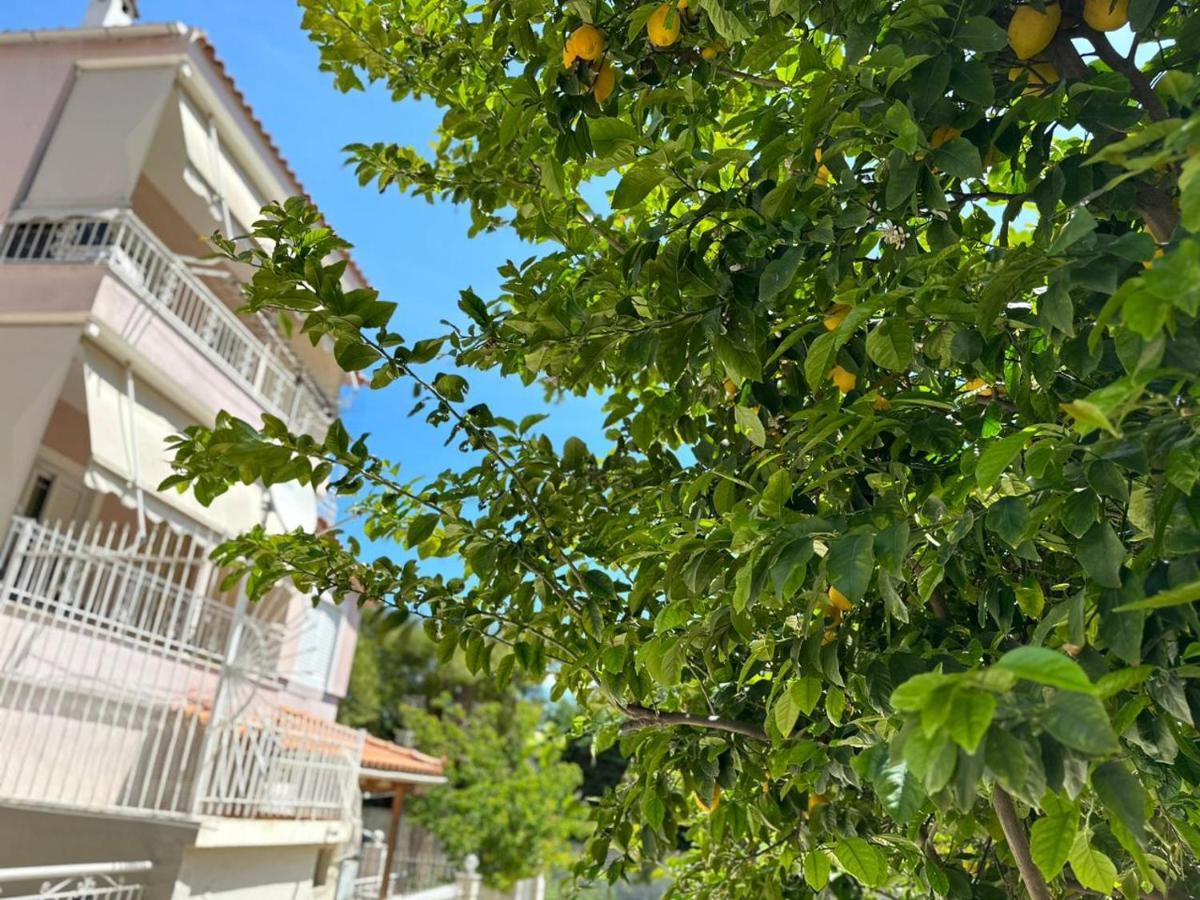 La Vita Apartments-Near Airport & Sea Αρτέμιδα Εξωτερικό φωτογραφία